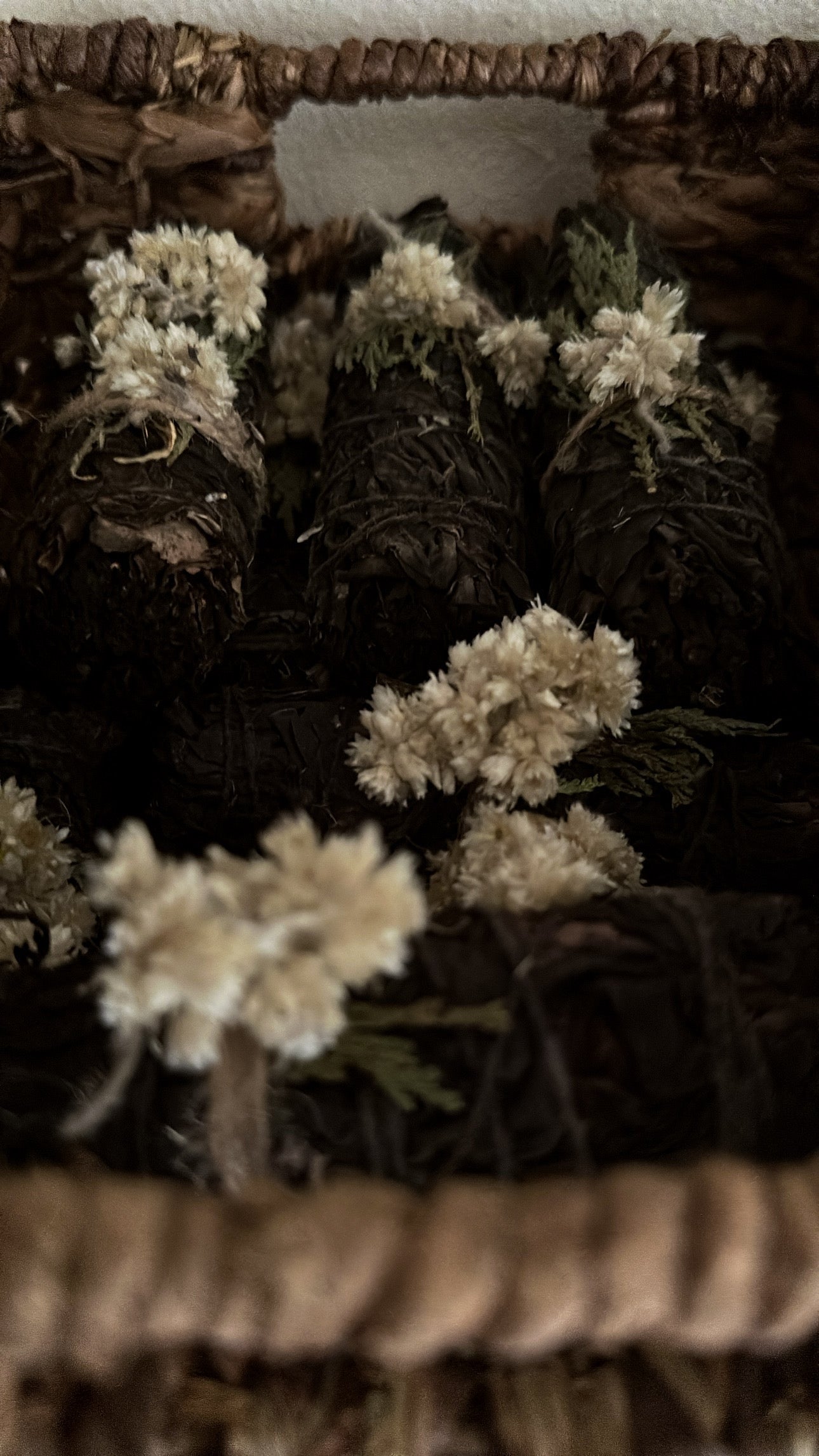 Blackened White Sage Dressed In Cedar With Mullein